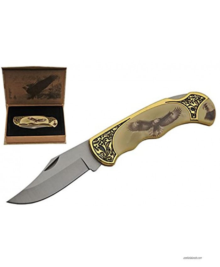 SZCO Supplies Eagle Gift Box Folding Knife