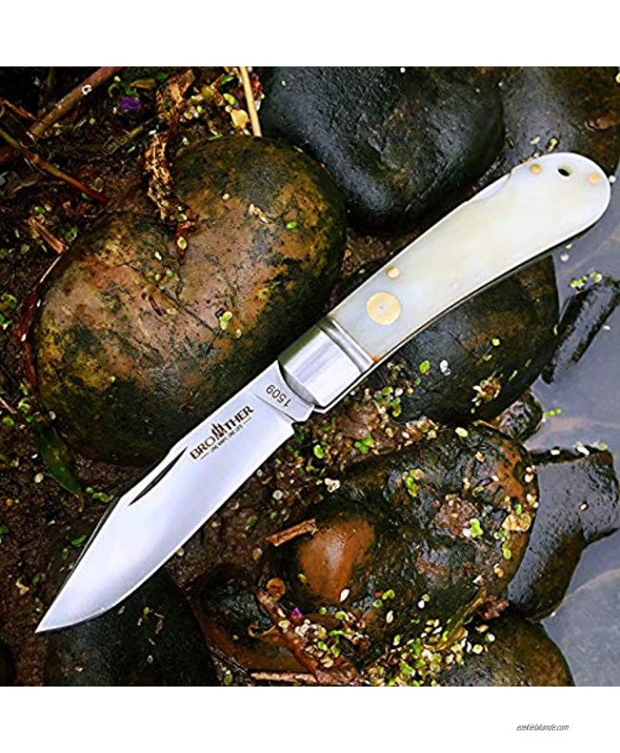 Brother 1509N VG10 Blade Knife bone Grips Back Lock Pocket Knife …