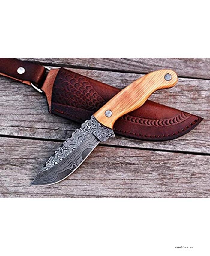 Zaildar Damascus Steel Hunting Knife Camping Knife Bowie Knife Fixed Blade Knife & Hunting Knives with Olive Wood Handle & Leather Knife Sheath